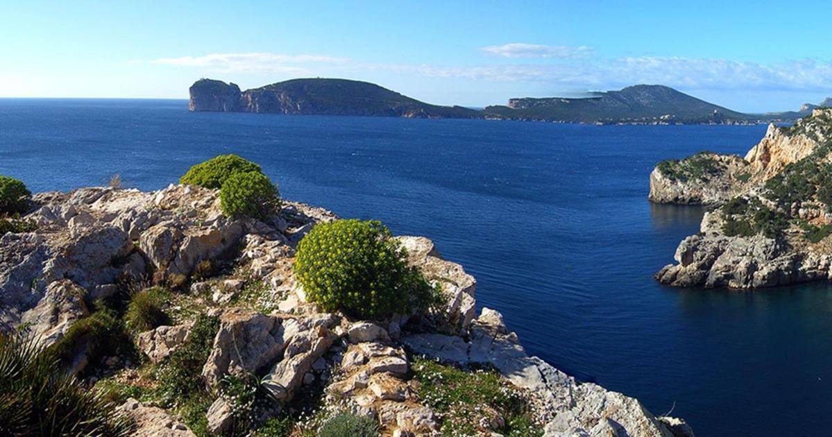 A Casa Di Mamma Lejlighed Alghero Eksteriør billede