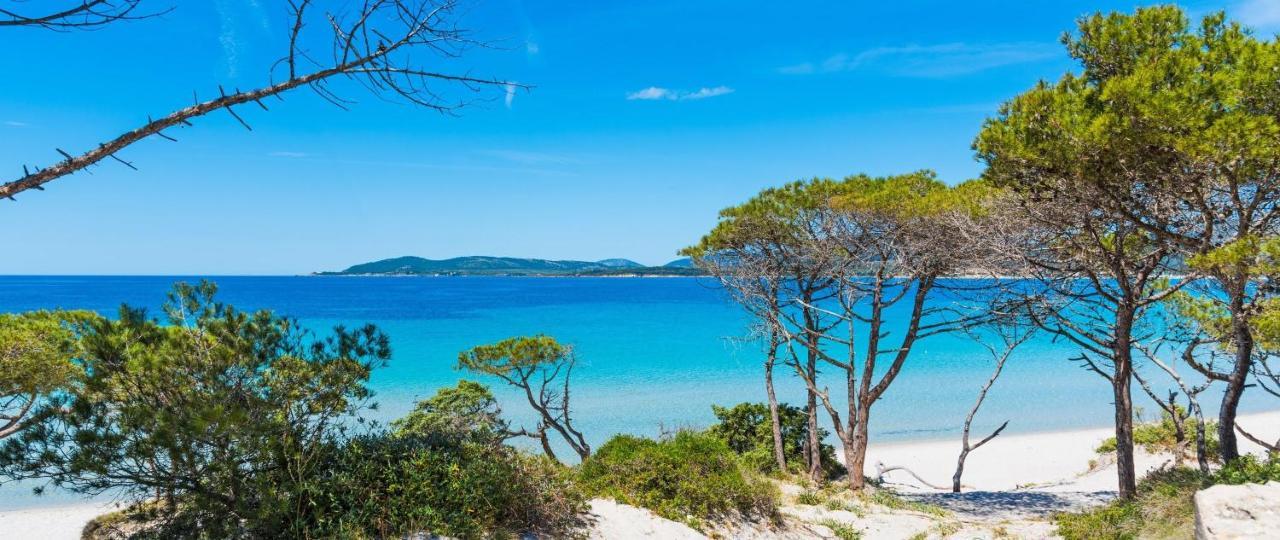 A Casa Di Mamma Lejlighed Alghero Eksteriør billede